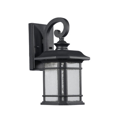 CH22L21BK13-OD1 LED Outdoor Sconce
